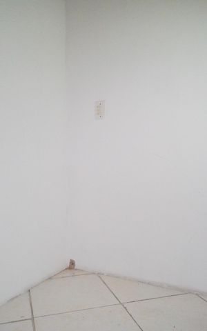 Apartamento para alugar com 80m², 3 quartos e sem vagaQuarto 3