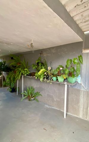 Casa à venda com 214m², 2 quartos e 2 vagas