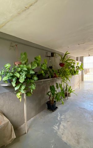 Casa à venda com 214m², 2 quartos e 2 vagas