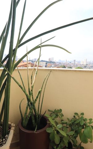 Apartamento à venda com 80m², 3 quartos e 2 vagasSacada