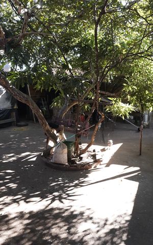 Casa à venda com 137m², 3 quartos e 3 vagas