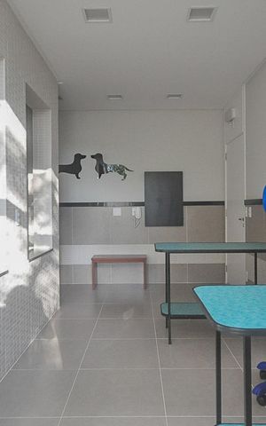 Apartamento à venda com 250m², 4 quartos e 4 vagas Apartamento à venda com 250m², 4 quartos e 4 vagasEspaço Pet