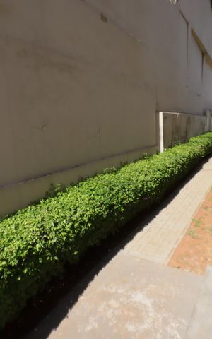 Apartamento à venda com 80m², 2 quartos e 2 vagasÁrea comum - Espaço pet