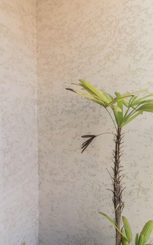 Apartamento à venda com 66m², 2 quartos e 1 vaga Apartamento à venda com 66m², 2 quartos e 1 vagaVaranda