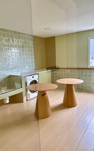 Apartamento para alugar com 40m², 2 quartos e sem vaga Apartamento para alugar com 40m², 2 quartos e sem vagaPet Care