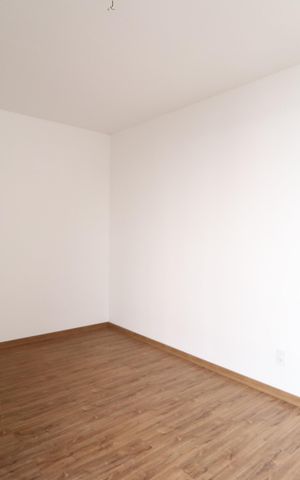 Apartamento para alugar com 50m², 2 quartos e 1 vagaSala