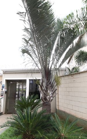 Apartamento para alugar com 50m², 2 quartos e 1 vagaFachada e portaria