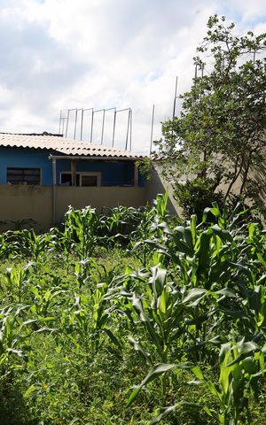 Casa à venda com 110m², 3 quartos e 4 vagasÁrea Externa