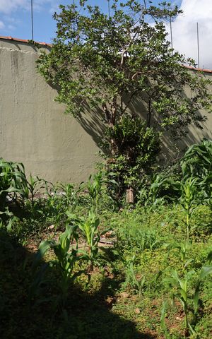 Casa à venda com 110m², 3 quartos e 4 vagasÁrea Externa