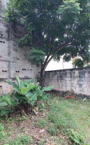 Casa à venda com 60m², 2 quartos e sem vagaÁrea de Serviço