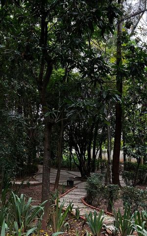 Apartamento à venda com 54m², 2 quartos e 1 vaga Apartamento à venda com 54m², 2 quartos e 1 vagaÁrea Externa