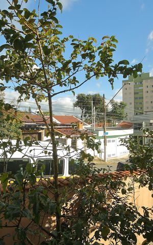 Casa para alugar com 249m², 4 quartos e 5 vagasVista Quarto 2  