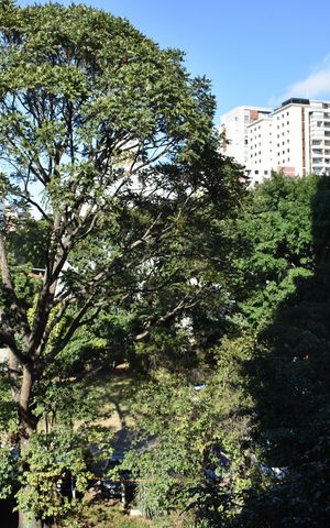 Apartamento à venda com 36m², 1 quarto e sem vagaSacada