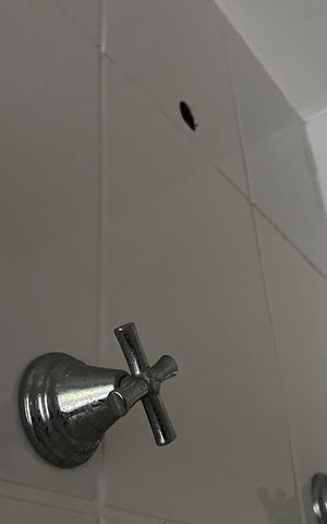 Apartamento para alugar com 62m², 2 quartos e sem vagaBanheiro da Suíte