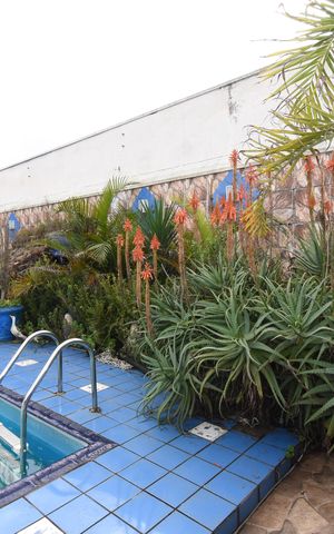 Casa para alugar com 700m², 5 quartos e 6 vagasÁrea externa -  Piscina