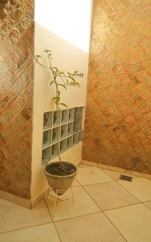 Casa à venda com 400m², 3 quartos e 3 vagasSala ( Jardiim de inverno) 