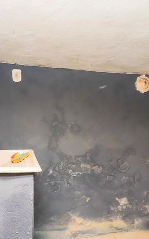 Casa para alugar com 50m², 1 quarto e sem vagaÁrea de serviço