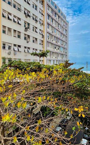 Apartamento à venda com 160m², 3 quartos e 1 vaga
