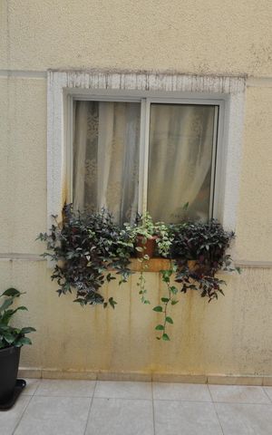 Apartamento à venda com 41m², 1 quarto e sem vagaVista da Sala
