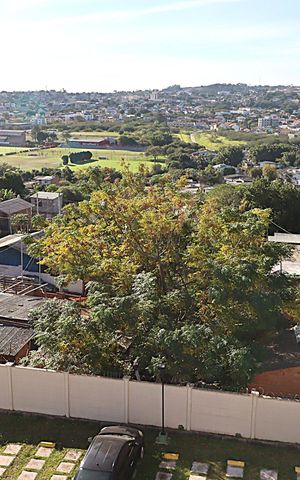 Apartamento à venda com 43m², 2 quartos e 1 vagaVista da Sala