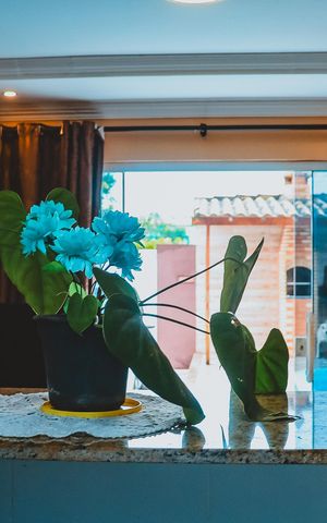 Casa para alugar com 350m², 2 quartos e sem vaga