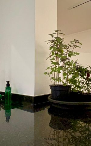Apartamento à venda com 90m², 2 quartos e 1 vaga Apartamento à venda com 90m², 2 quartos e 1 vagaCozinha