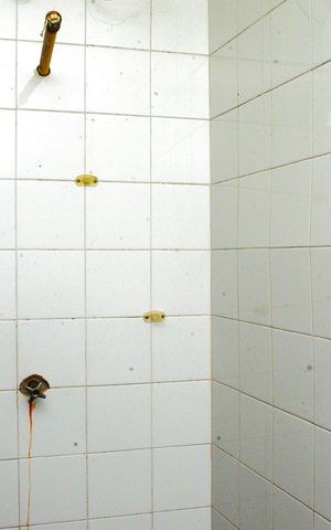 Casa à venda com 450m², 2 quartos e 8 vagasBanheiro social