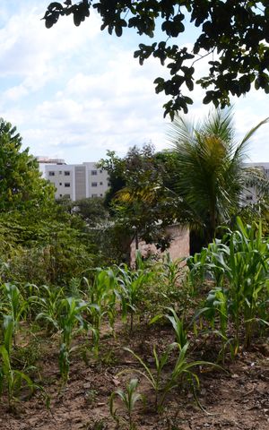 Casa à venda com 450m², 2 quartos e 8 vagasÁrea externa