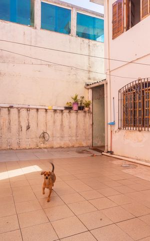 Casa à venda com 180m², 7 quartos e 4 vagasQuintal - Casa 1