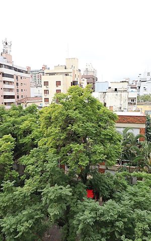 Apartamento à venda com 85m², 3 quartos e sem vagaVista da Sala