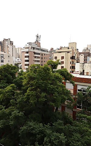 Apartamento à venda com 85m², 3 quartos e sem vagaVista do Quarto 1
