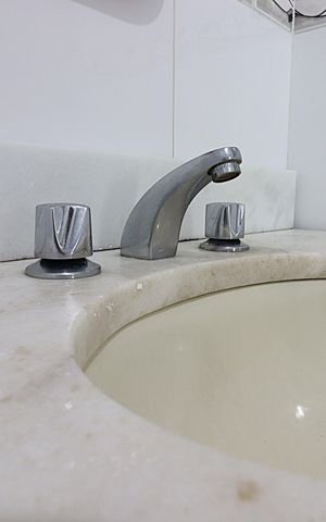 Apartamento à venda com 85m², 3 quartos e sem vagaBanheiro - torneira