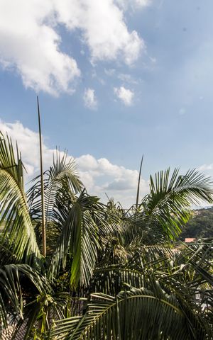 Casa de condomínio para alugar com 480m², 2 quartos e 4 vagas Casa de condomínio para alugar com 480m², 2 quartos e 4 vagasVista do Quarto 3