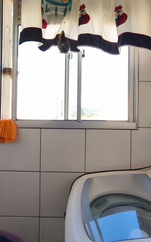 Apartamento à venda com 44m², 2 quartos e sem vaga Apartamento à venda com 44m², 2 quartos e sem vagaÁrea de Serviço