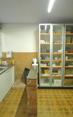 Casa à venda com 316m², 3 quartos e sem vagaCozinha 
