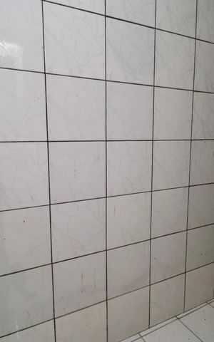 Casa para alugar com 5072m², 1 quarto e sem vagaÁrea de Serviço