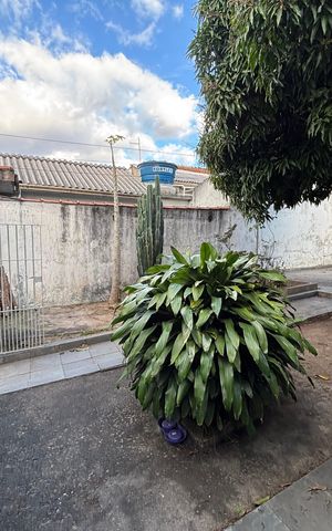 Casa à venda com 210m², 3 quartos e 3 vagas Casa à venda com 210m², 3 quartos e 3 vagasQuintal