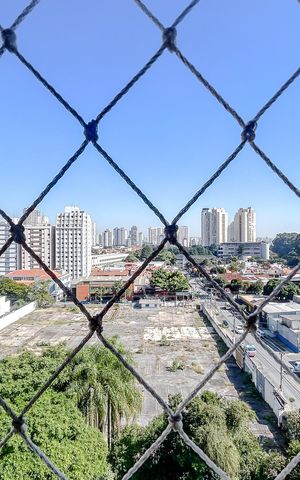 Apartamento para alugar com 100m², 4 quartos e 1 vagaVista do Quarto 1