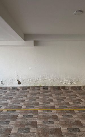 Apartamento para alugar com 61m², 2 quartos e 1 vaga Apartamento para alugar com 61m², 2 quartos e 1 vagaGaragem