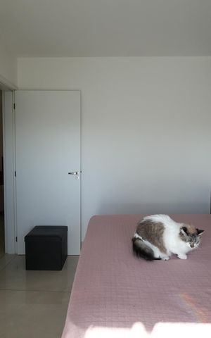 Apartamento à venda com 63m², 2 quartos e 2 vagasQuarto Suite 