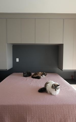 Apartamento à venda com 63m², 2 quartos e 2 vagasQuarto Suite 