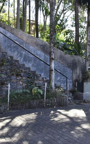 Casa para alugar com 800m², 6 quartos e 12 vagasQuintal