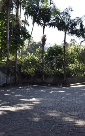 Casa para alugar com 800m², 6 quartos e 12 vagasQuintal
