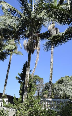 Casa para alugar com 800m², 6 quartos e 12 vagasEntrada da Garagem