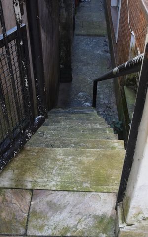 Casa para alugar com 800m², 6 quartos e 12 vagasEscada 3