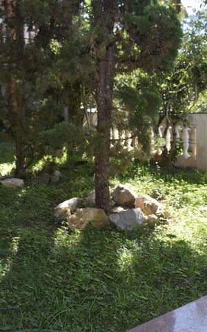 Casa para alugar com 800m², 6 quartos e 12 vagasJardim