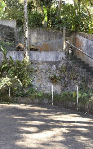 Casa para alugar com 800m², 6 quartos e 12 vagasQuintal