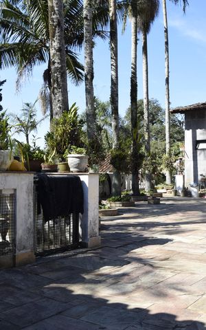 Casa para alugar com 800m², 6 quartos e 12 vagasPiscina