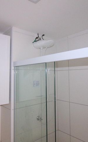 Apartamento para alugar com 47m², 2 quartos e sem vaga