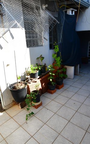 Casa à venda com 91m², 3 quartos e 2 vagasGaragem 1